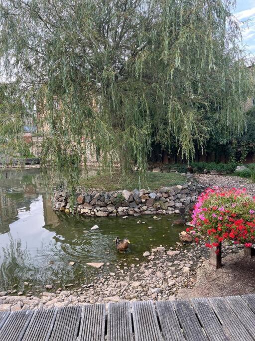 La Maison Du Perche Avec Jacuzzi Saint-Martin-des-Pezerits Bagian luar foto